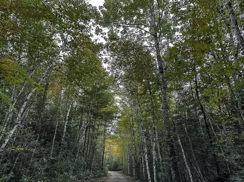 lot11 1 Carry Ridge Rd, Northfield, ME 04686