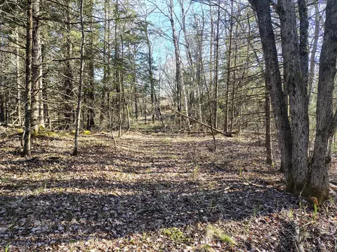 M17/l28 Basin Road, Addison, ME 04606