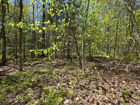 lot254 Eastern Ave, Augusta, ME 04330 photo 7