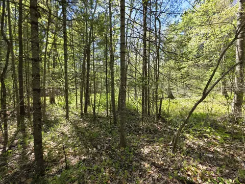 lot254 Eastern Ave, Augusta, ME 04330 photo 9