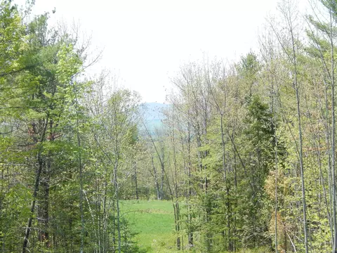 592 Maple Ridge Rd, Harrison, ME 04040 photo 4