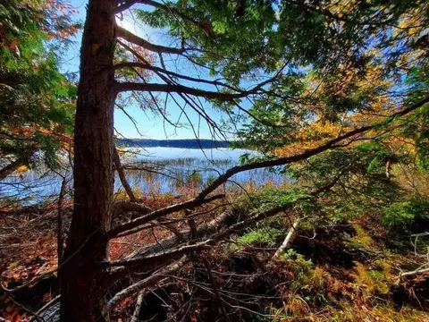 0 Blackcat Pt Dr, Princeton, ME 04668
