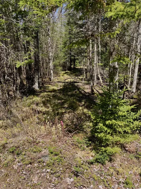 lot94 Yoho Head Rd, Machiasport, ME 04655