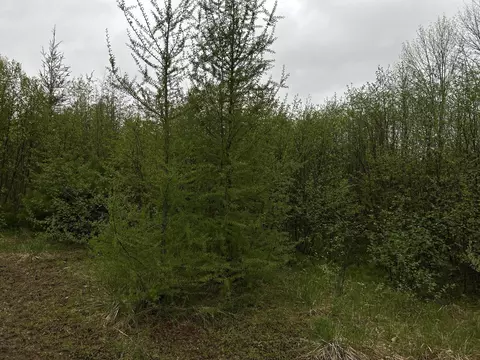 696 Lebanon Rd, Winterport, ME 04496