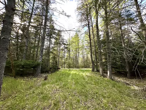 M4 L31 Stanley Field Road, Deer Isle, ME 04627