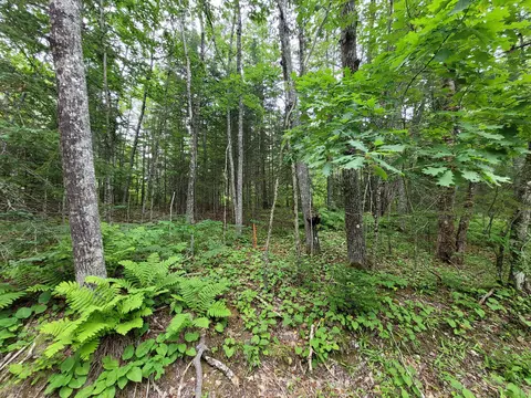 5 Matty Way, Franklin, ME 04634