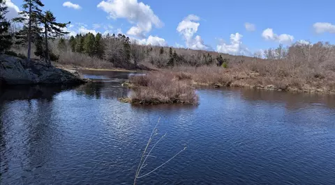 View/Area - 19 Lubec Rd, Whiting, ME 04691 photo 8 of 8