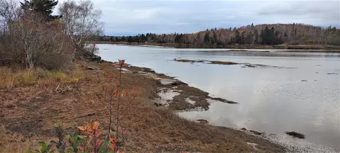1489 Indian River Rd, Jonesport, ME 04649