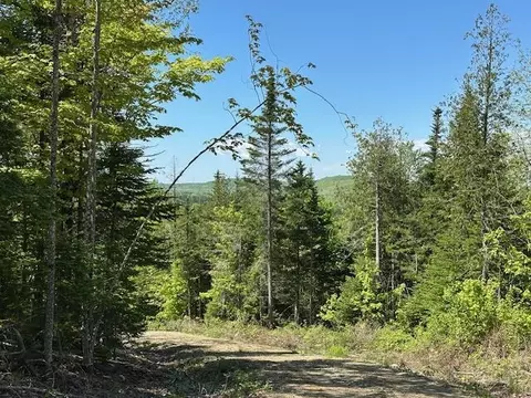 lot10 Mt Jefferson Hts, Lee, ME 04455