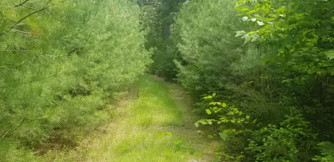 M13, Penobscot, ME 04476