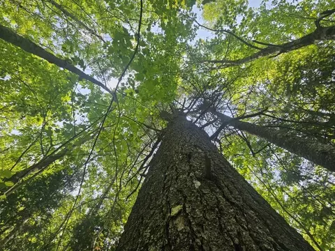 2016 2016 Hudson Rd, Hudson, ME 04449