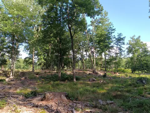 95 Walnut Hill Rd, Shapleigh, ME 04076