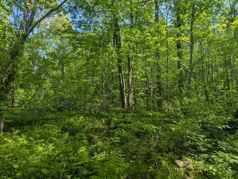 M10l47 Lampson Road, Liberty, ME 04949