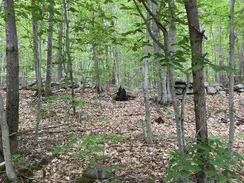 7 Rosenberg Road, Sumner, ME 04292