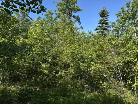 M4l19 Village Road, Jackson, ME 04921