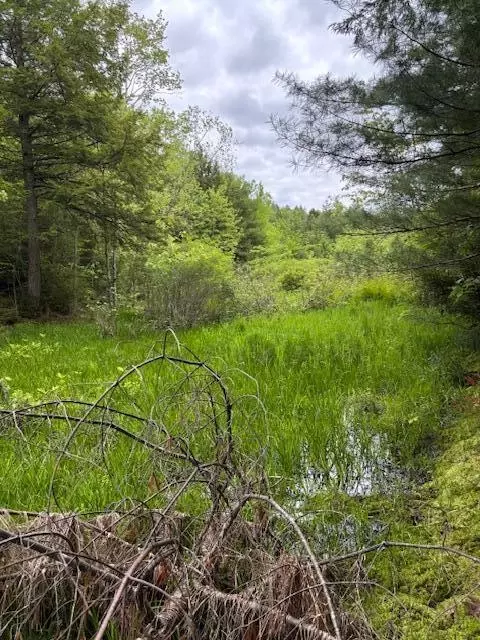 44 Trott Road Rd N # A, Woolwich, ME 04579 photo 12