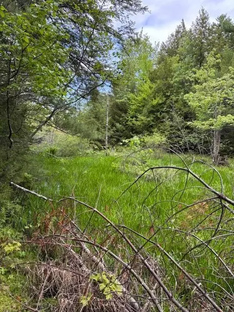 44 Trott Road Rd N # A, Woolwich, ME 04579 photo 11