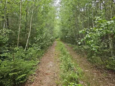 M2-9 & 11 Off Kingwood Road, T7 Sd, ME 04627