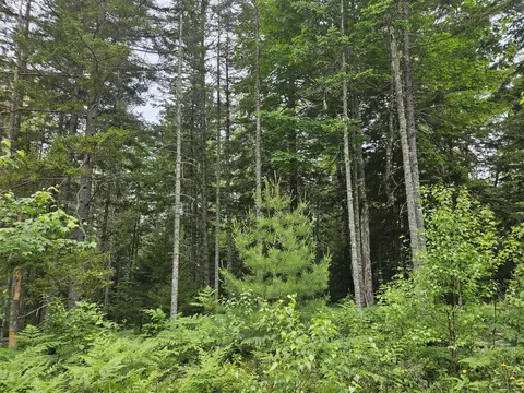 M14l33a Off Smithville Road, Steuben, ME 04680