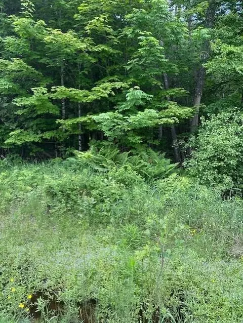 3 A Avenue Rd # -3, Corinth, ME 04427