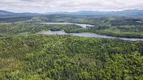 View/Area - 574 Mingo Loop Rd, Rangeley, ME 04970 photo 9 of 13