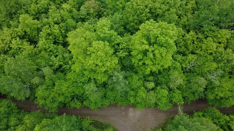 Lot 25 Aurora Road, Prentiss Twp T7 R3 Nbpp, ME 04487
