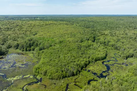 lot46 Carl Bailey, Bristol, ME 04539