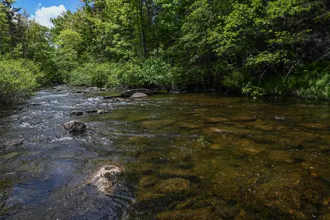 20 Beaver Mountain Road, Sandy River Plt, ME 04970
