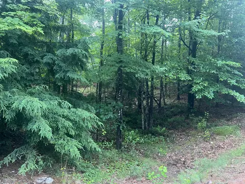 lot Apt 1 Intervale Rd, Bethel, ME 04217