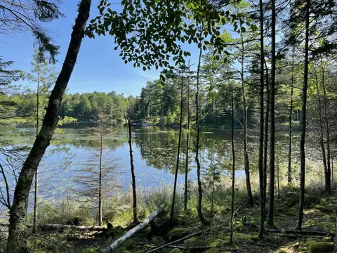 lot A Red Spruce Way, Mount Desert, ME 04660