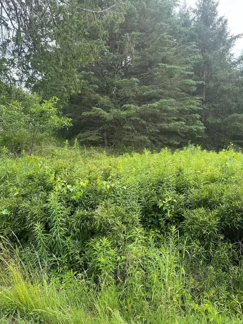lot5 Soper Rd, Orland, ME 04413