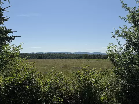 Other - 178 Irish Settlement Rd, Danforth, ME 04424 photo 9 of 12