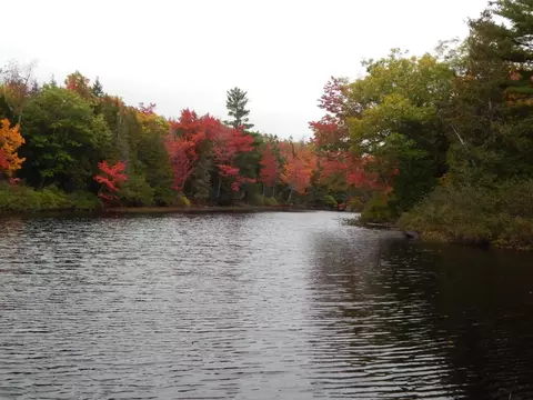 M5l5 Call Road, Milford, ME 04461