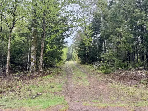 M15 L12 Golding Road, Perry, ME 04667