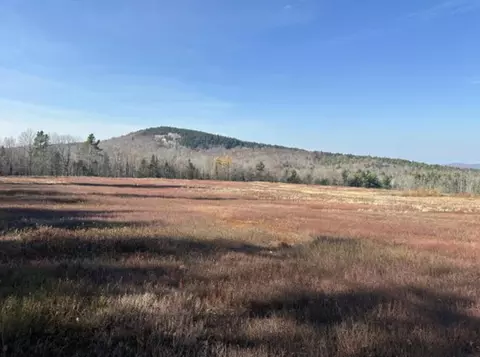Map1lot22 Bald Mountain Road, Dedham, ME 04429