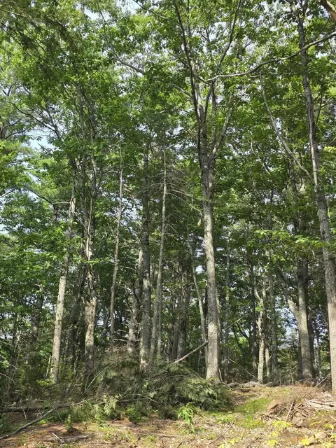 00 Pinnacle Rd, Liberty, ME 04949