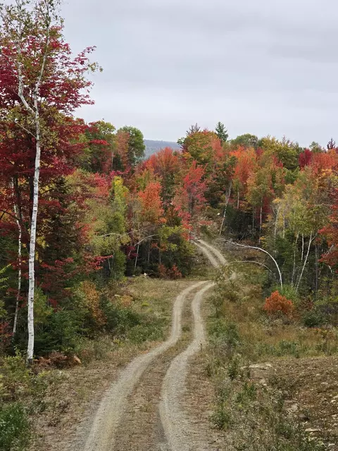 lot Apt 4 Woods Rd, Phillips, ME 04966