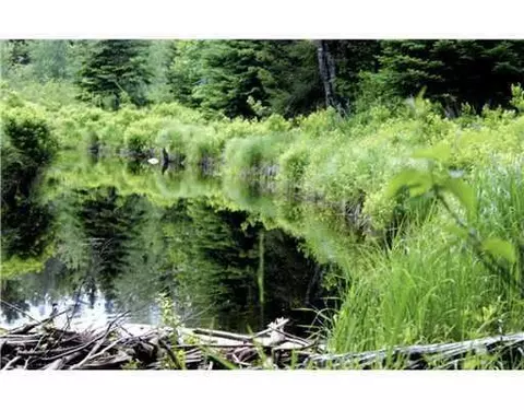 30 Marshfield Flats Road, Marshfield, ME 04654