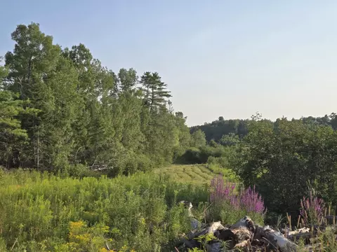 00 Lambert Rd, Brewer, ME 04412 photo 8