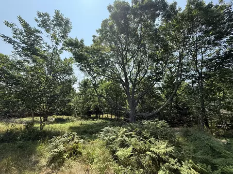 011-032 4 Aw Smith Rd, Vinalhaven, ME 04863