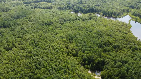 7 Sharon Ln, Cherryfield, ME 04622