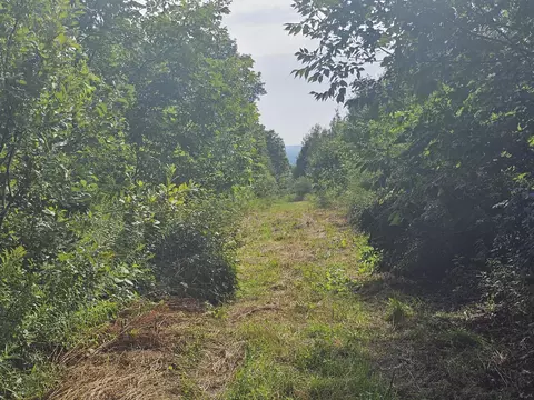 1 Aroostook Scenic Highway, Patten, ME 04765