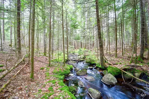 lot3 Bear Springs Ln, Surry, ME 04684