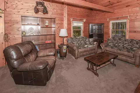 Living - 952 Denmark Rd, Denmark, ME 04022 photo 3 of 11