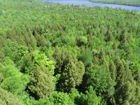 M7 L1-20 Off Pine Bluff Drive, Embden, ME 04958