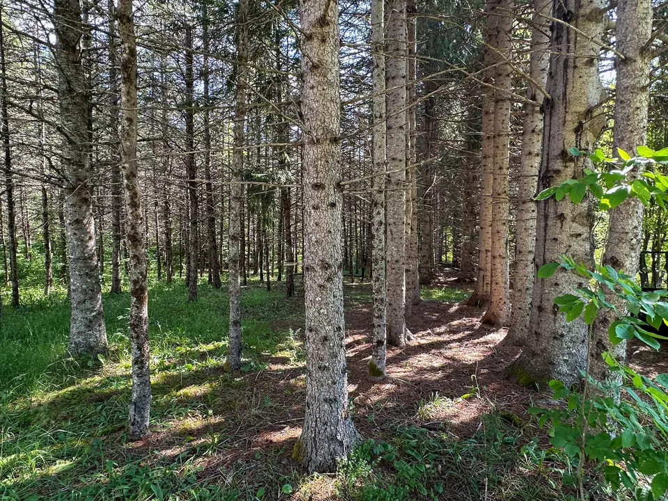  187 Clark Rd, Patten, ME 04765 photo 24