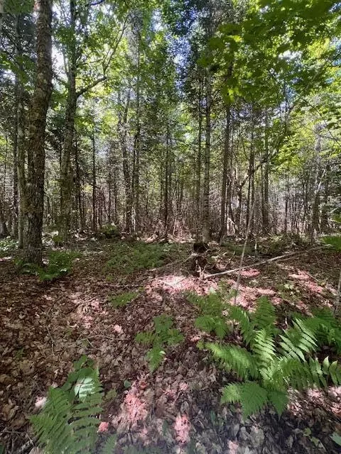 lot35 Woodland Ridge Rd, Danforth, ME 04424 photo 12