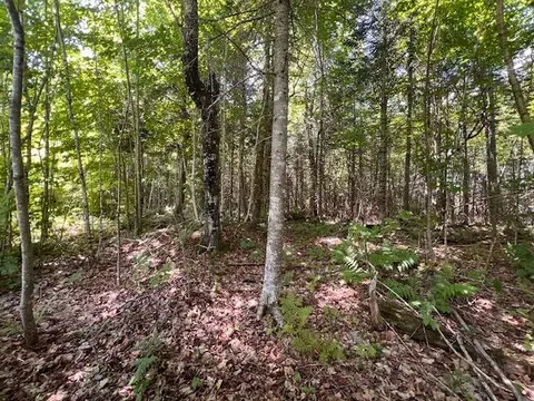lot35 Woodland Ridge Rd, Danforth, ME 04424 photo 11