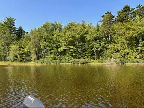 lot35 Woodland Ridge Rd, Danforth, ME 04424 photo 2