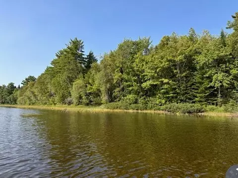 lot35 Woodland Ridge Rd, Danforth, ME 04424 photo 4